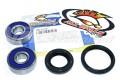 Wheel Bearing and Seal Kit Front 73-76 CR250